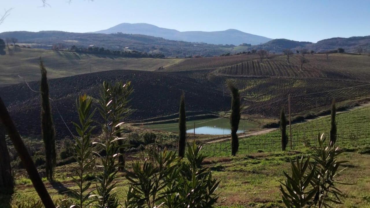 Agriturismo Grossola Castiglione dʼOrcia Exteriör bild