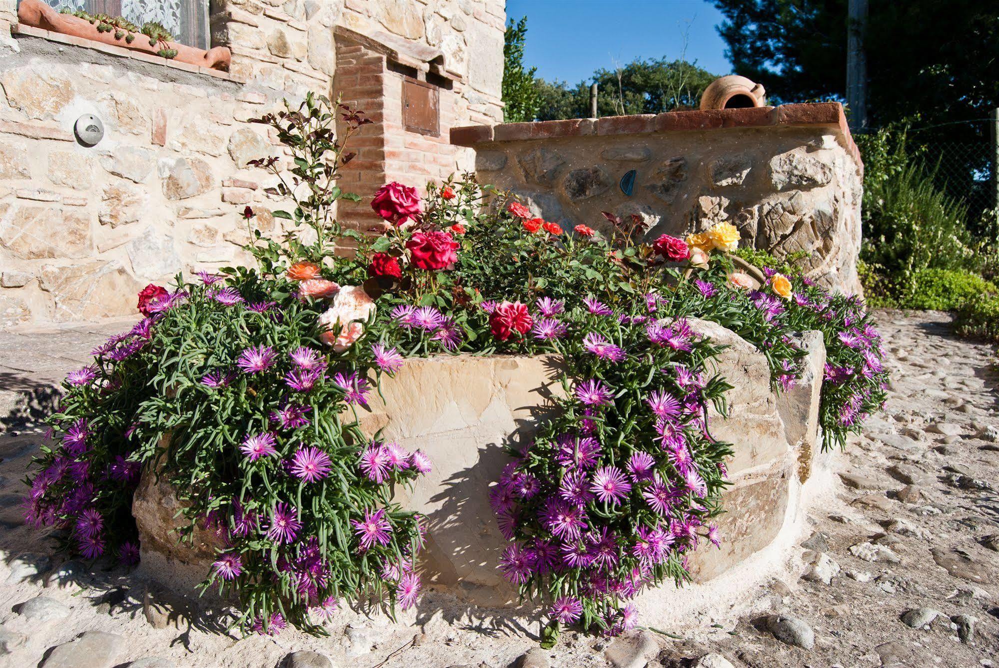 Agriturismo Grossola Castiglione dʼOrcia Exteriör bild